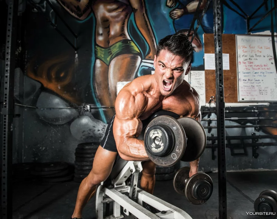 Trainieren professionelle Bodybuilder 4 Stunden am Tag?